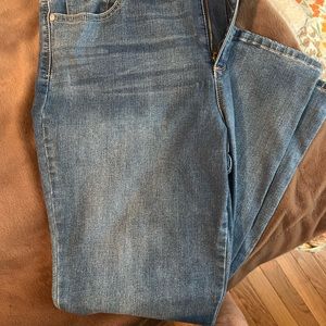 Gloria Vanderbilt Amanda slims